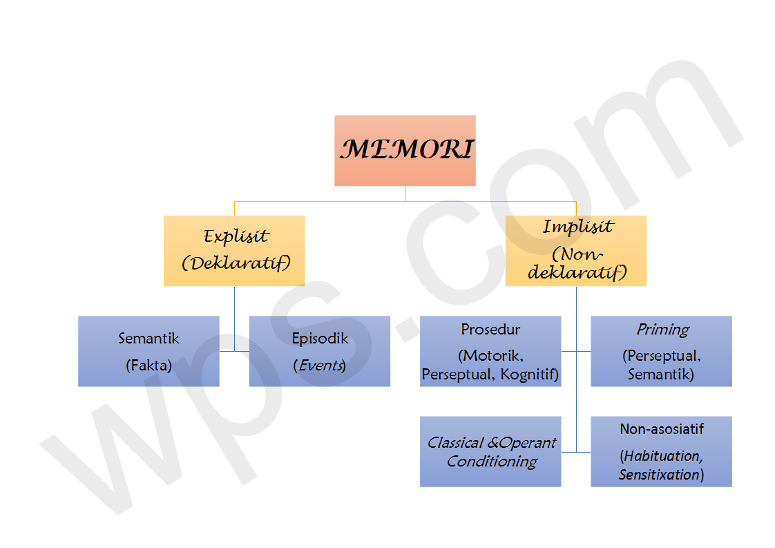 PSIKOLOGI KOGNITIF MEMORI JANGKA PENDEK DAN MEMORI JANGKA PANJANG