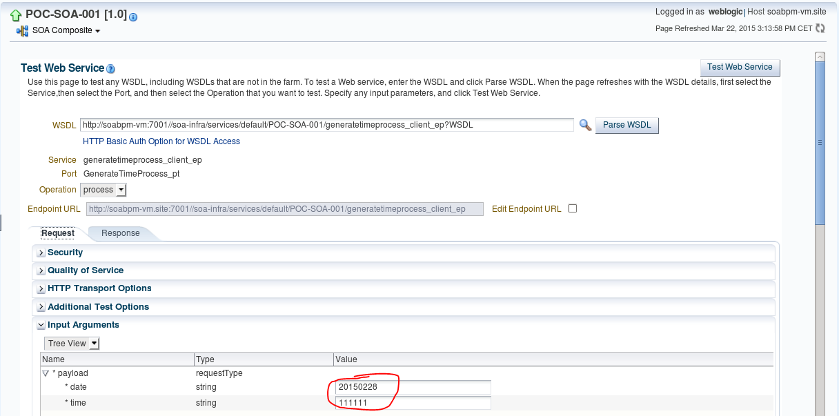 bineonary-converting-sap-idoc-xml-date-and-time-to-structured-xml