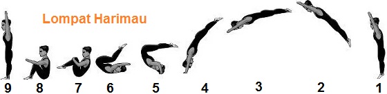 Senam Lantai Lengkap Gambar Gerakan Dan Ukuran Lapangan Lengkap Ilmuips My Id Materi Belajar Gratis