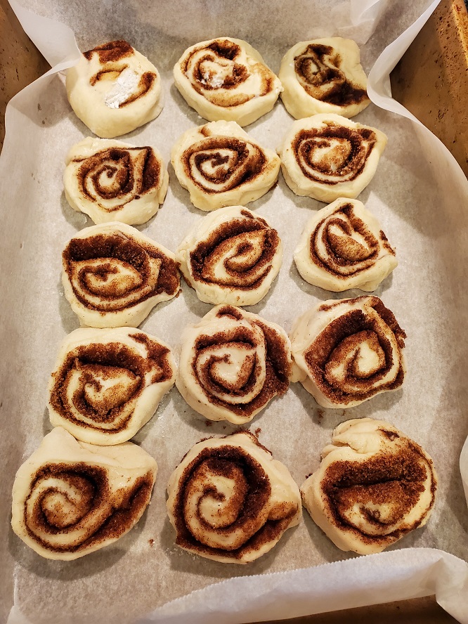 these are sliced cinnamon rolls rising to be baked