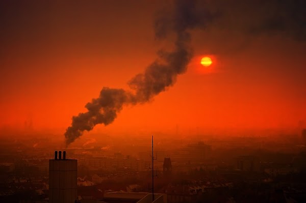 Contaminación del aire relacionada con la demencia Contaminación del aire relacionada con la demencia