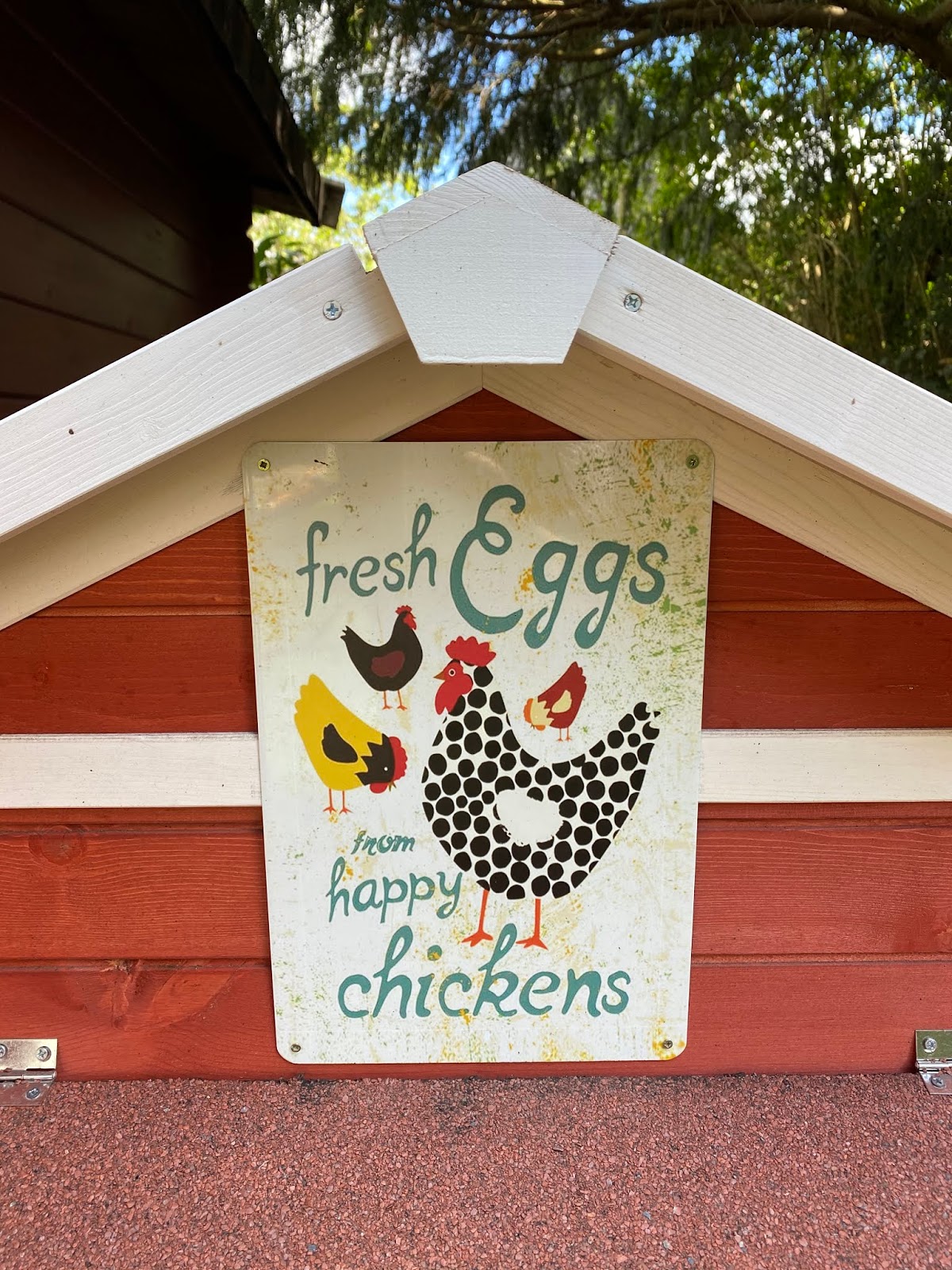Türschild Dekoschild « Chicken 02 » Huhn Hühnerstall Ei Vogel Eier