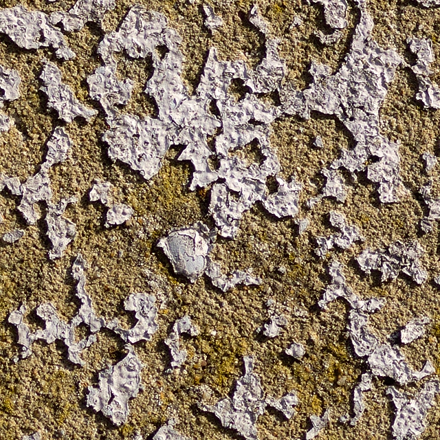 Damaged stucco wall texture 100% Damaged stucco wall texture 100%