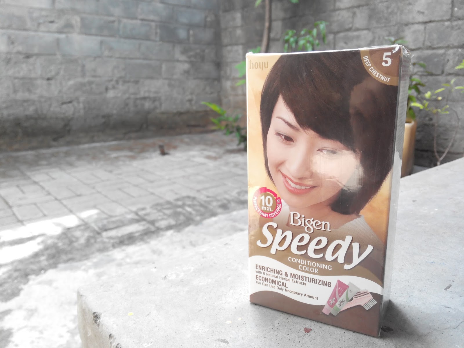 REVIEW Bigen Speedy Conditioning Color - Deep Chestnut - ekagustina