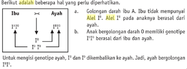 Soal Hemofilia