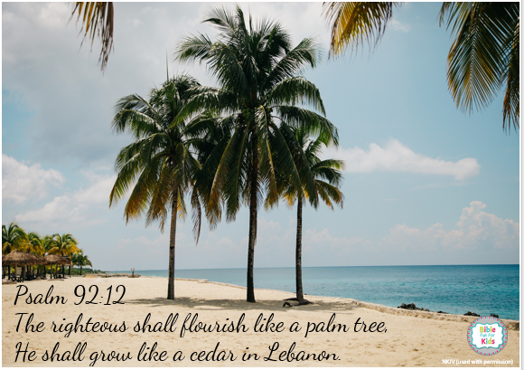 Bible Fun For Kids Wordless Wednesday Flourish Like a Palm Tree
