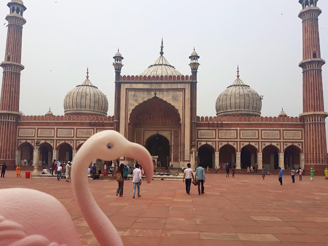 Travel toy at Jama Masjid