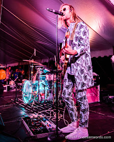 The Darcys at Riverfest Elora 2017 at Bissell Park on August 19, 2017 Photo by John at One In Ten Words oneintenwords.com toronto indie alternative live music blog concert photography pictures