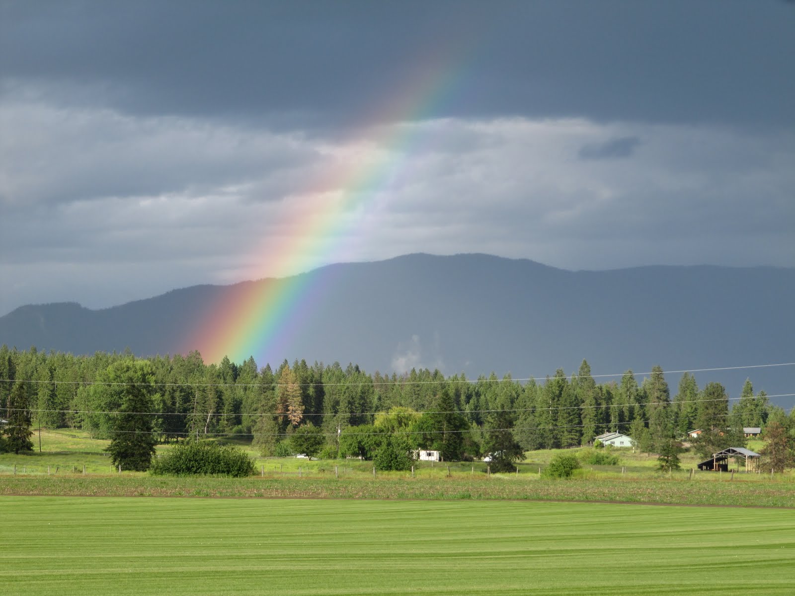 Okanagan Asparagus Farm Asparagus in Armstrong About Okanagan