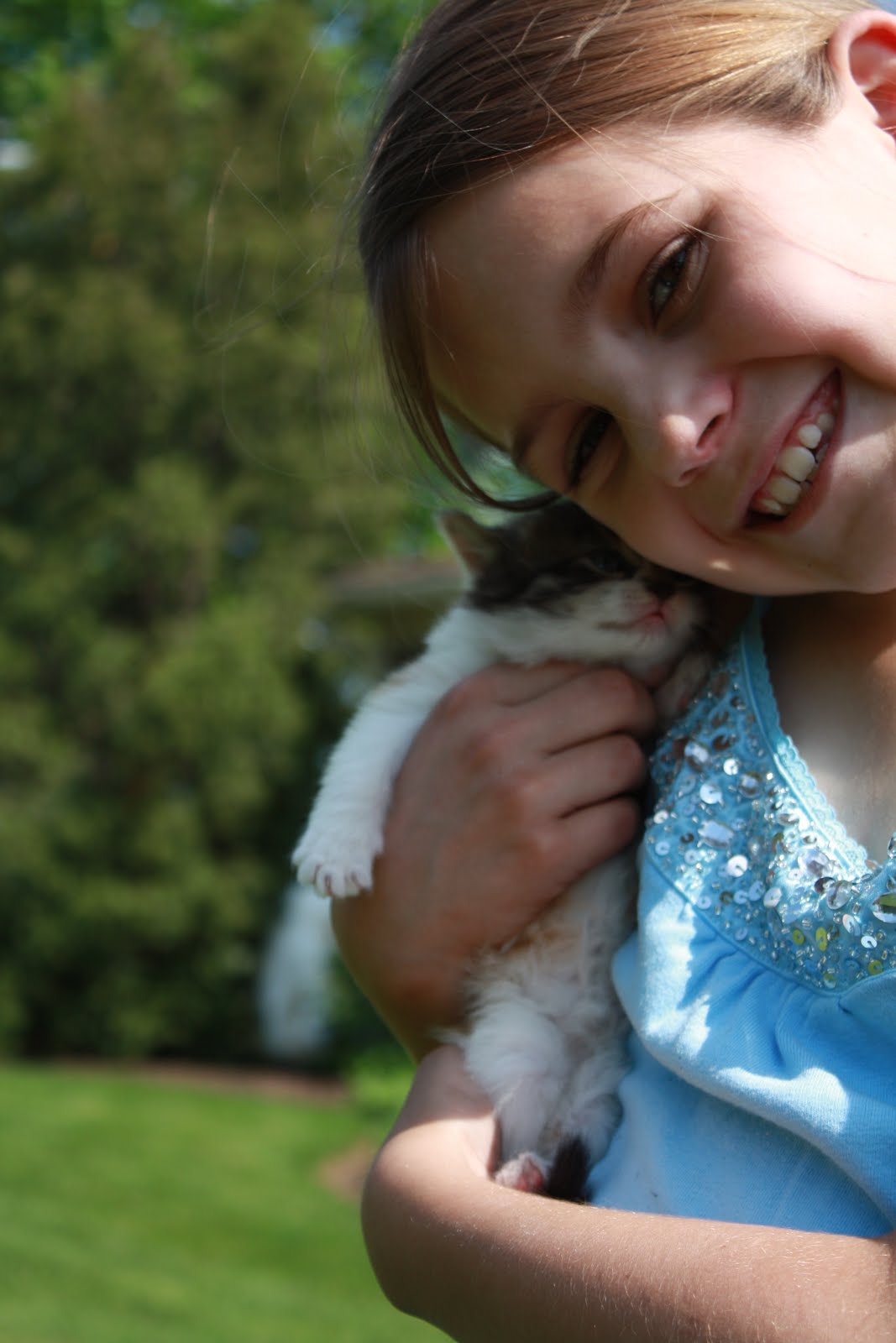 Real Life: FREE Kittens