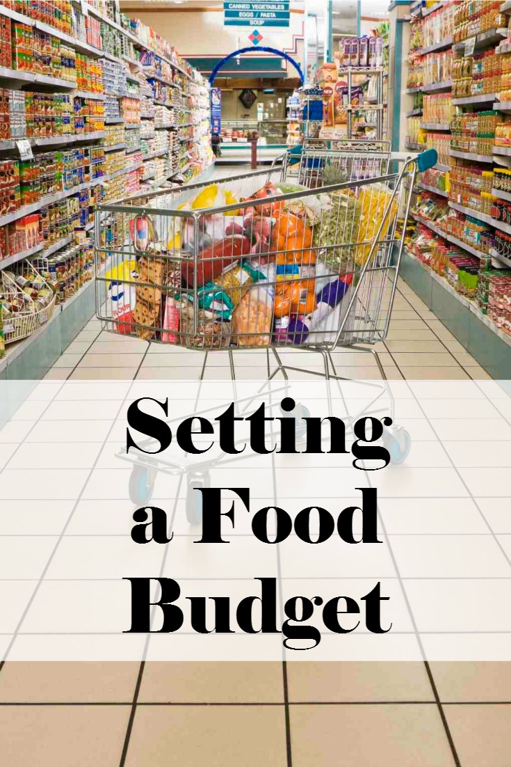 6 Tips on How to do Grocery Shopping on a Budget Stay Healthy