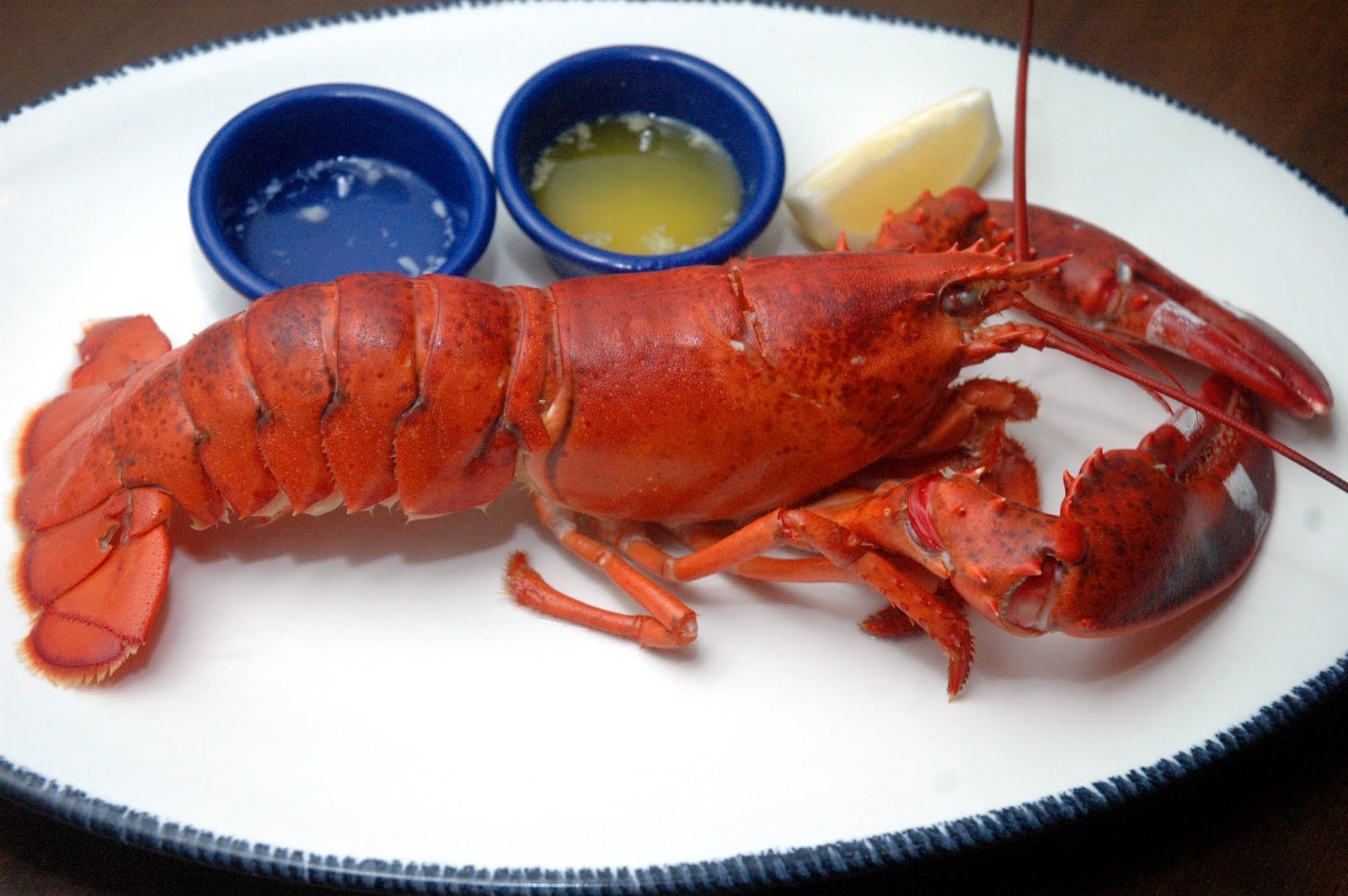 DUDE FOR FOOD Getting Clawed and Lovin' It A Clawsome Experience at