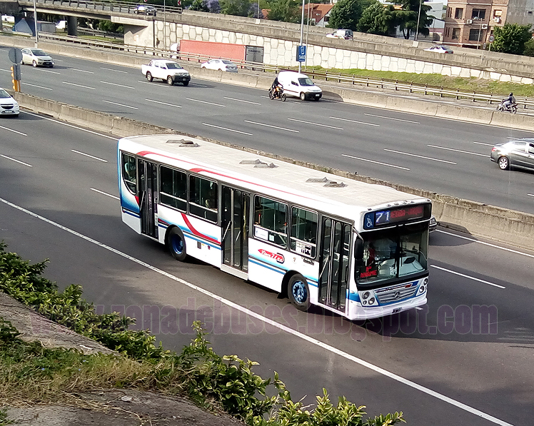 Colectibus Zona de Buses LINEA 71