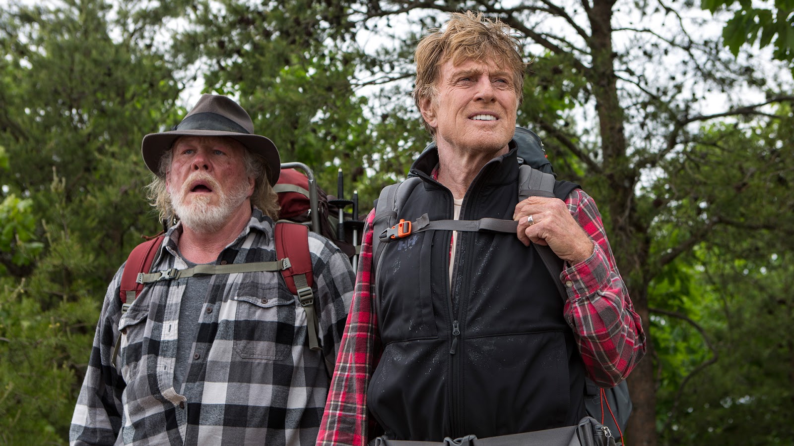 a walk in the woods movie review nytimes
