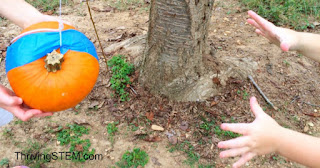 Second graders will love this pumpkin  engineering opportunity! Comes with NGSS alignment so it can be used in the classroom or at home.