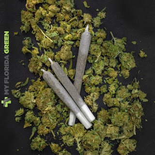Marijuana Medical