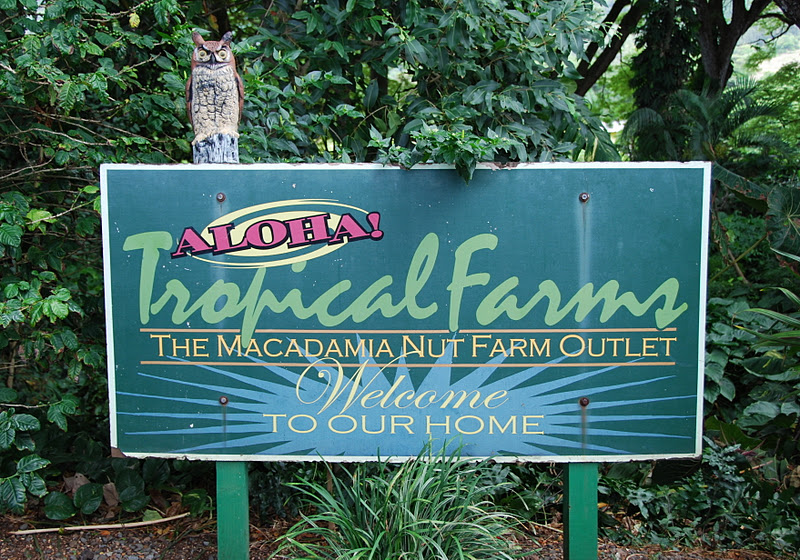 Hawaii Weekends Macadamia Nut Farm