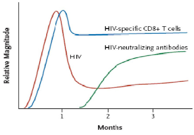 Réponse immune spécifique contre le VIH - Virologie Immunologie - Immunologie
