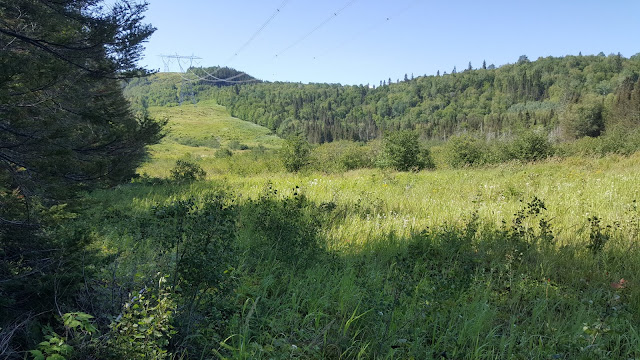 Point de vue à partir du sentier de la Montagne Blanche