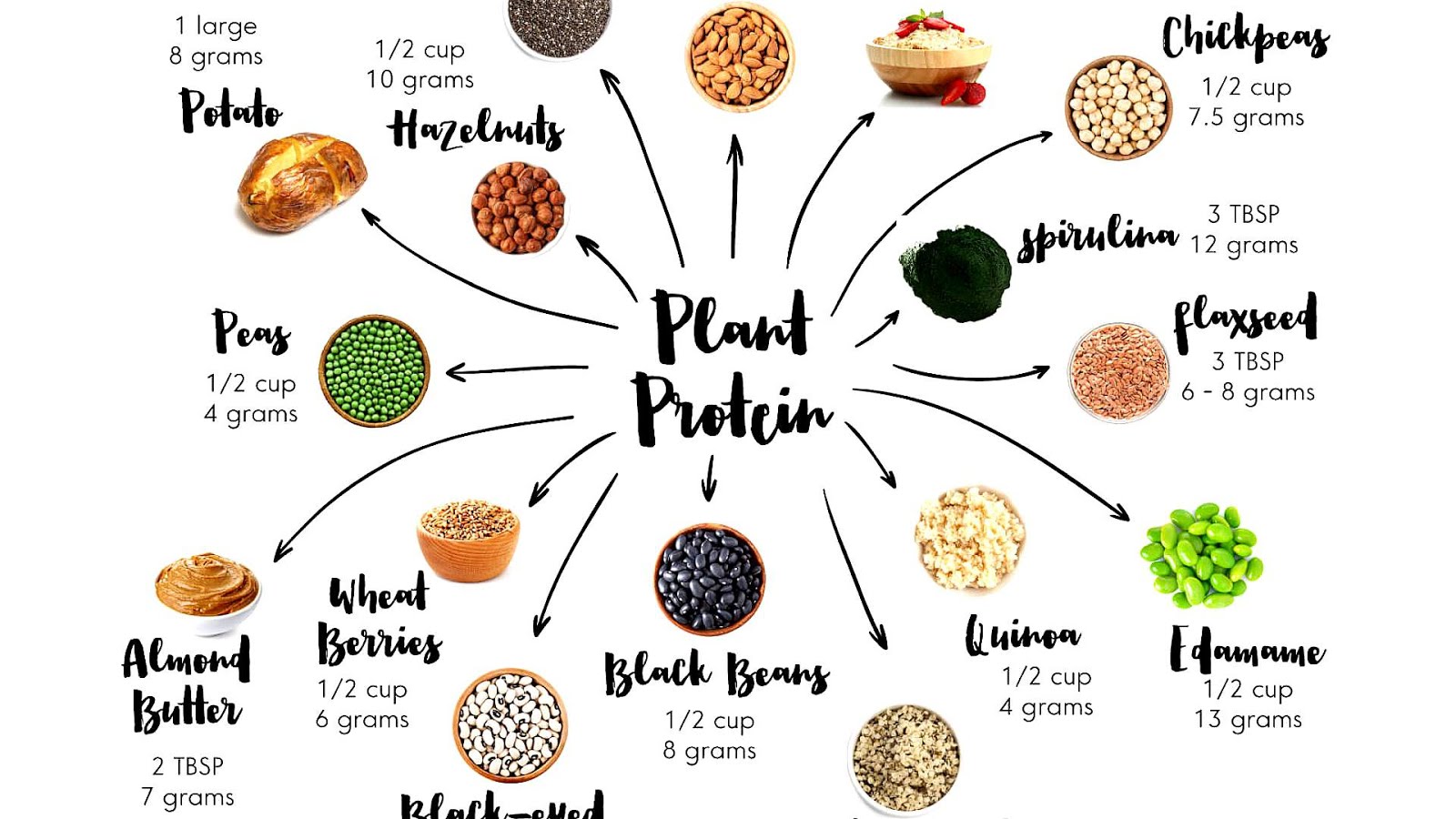 Vegetables That Has Protein Vege Choices