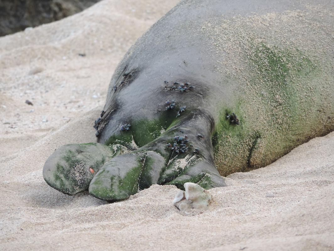 8122013 Team Billand Pohaku & Benny at
