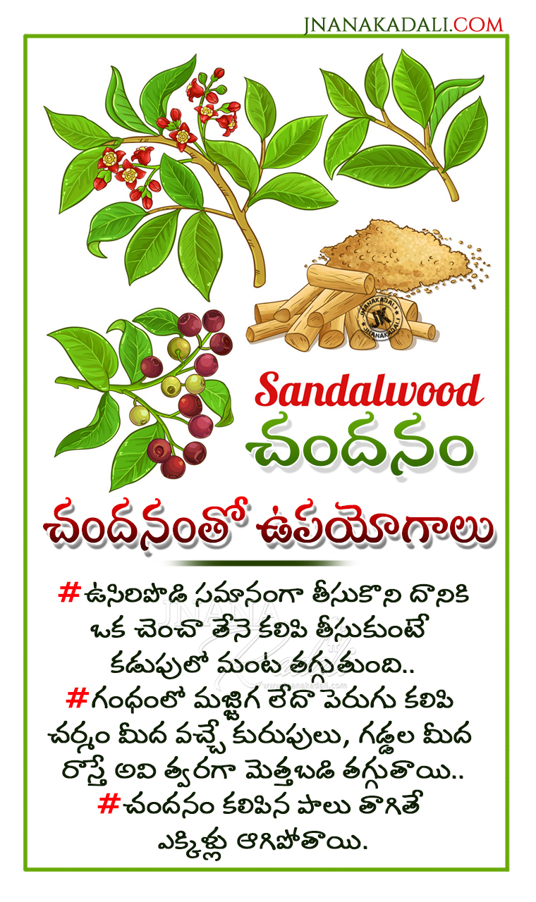 Uses and Benefits with Sandal wood in TeluguBest Ayurveda Treatment