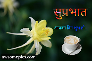 367+ Good Morning  Images With Flowers Free Download [ Latest Update ]