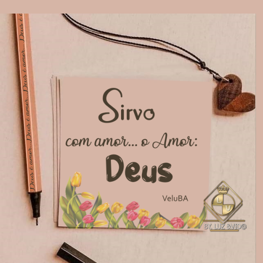 NOVO339%2B%2528MB%2529maryluz.png