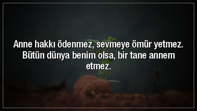 Anne hakkı ödenmez Anne hakkı ödenmez