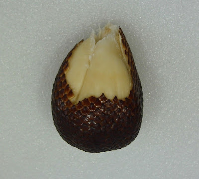 Warna_Daging_ Salak Warna_Daging_ Salak