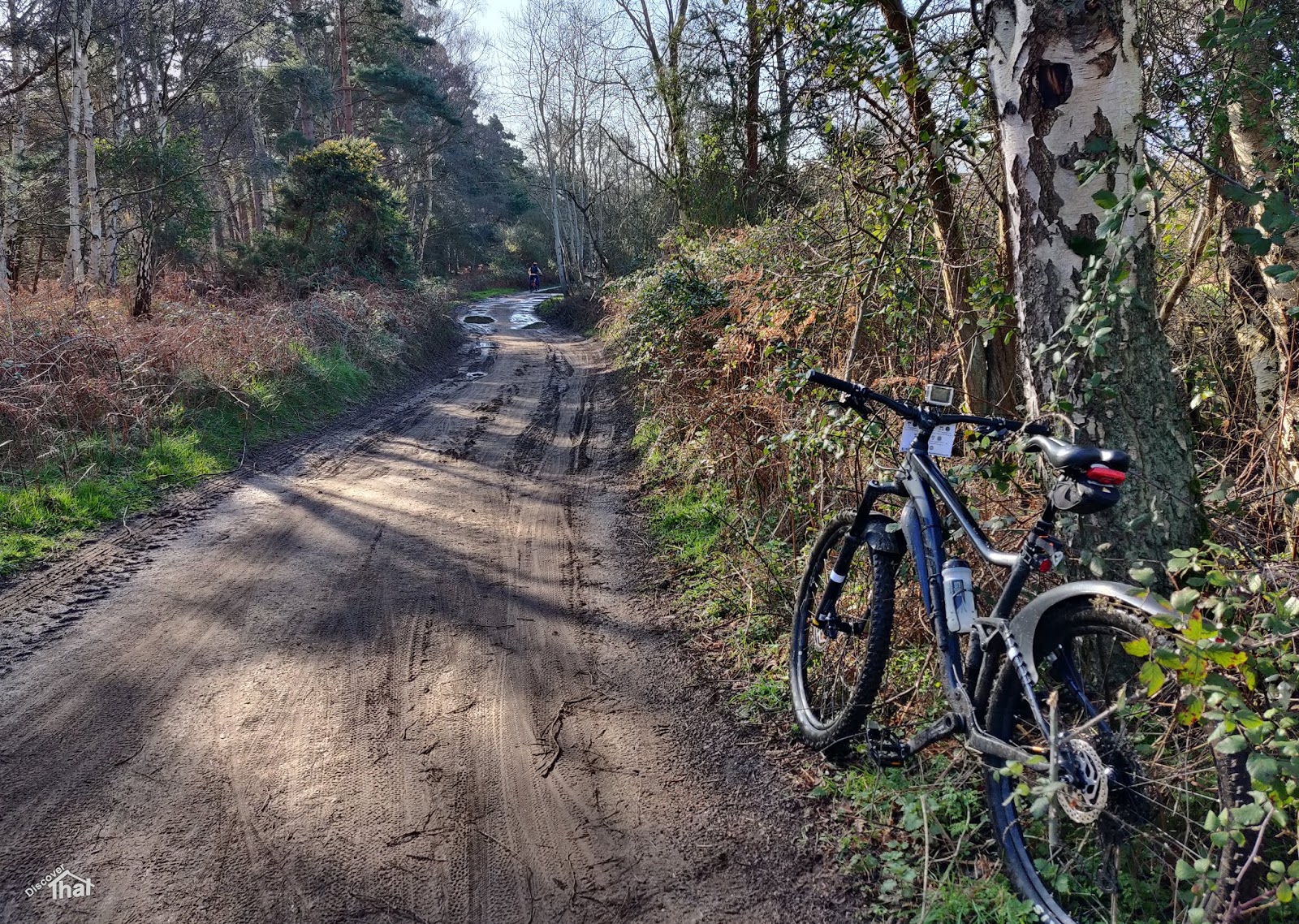 diamondback flat bar road bike