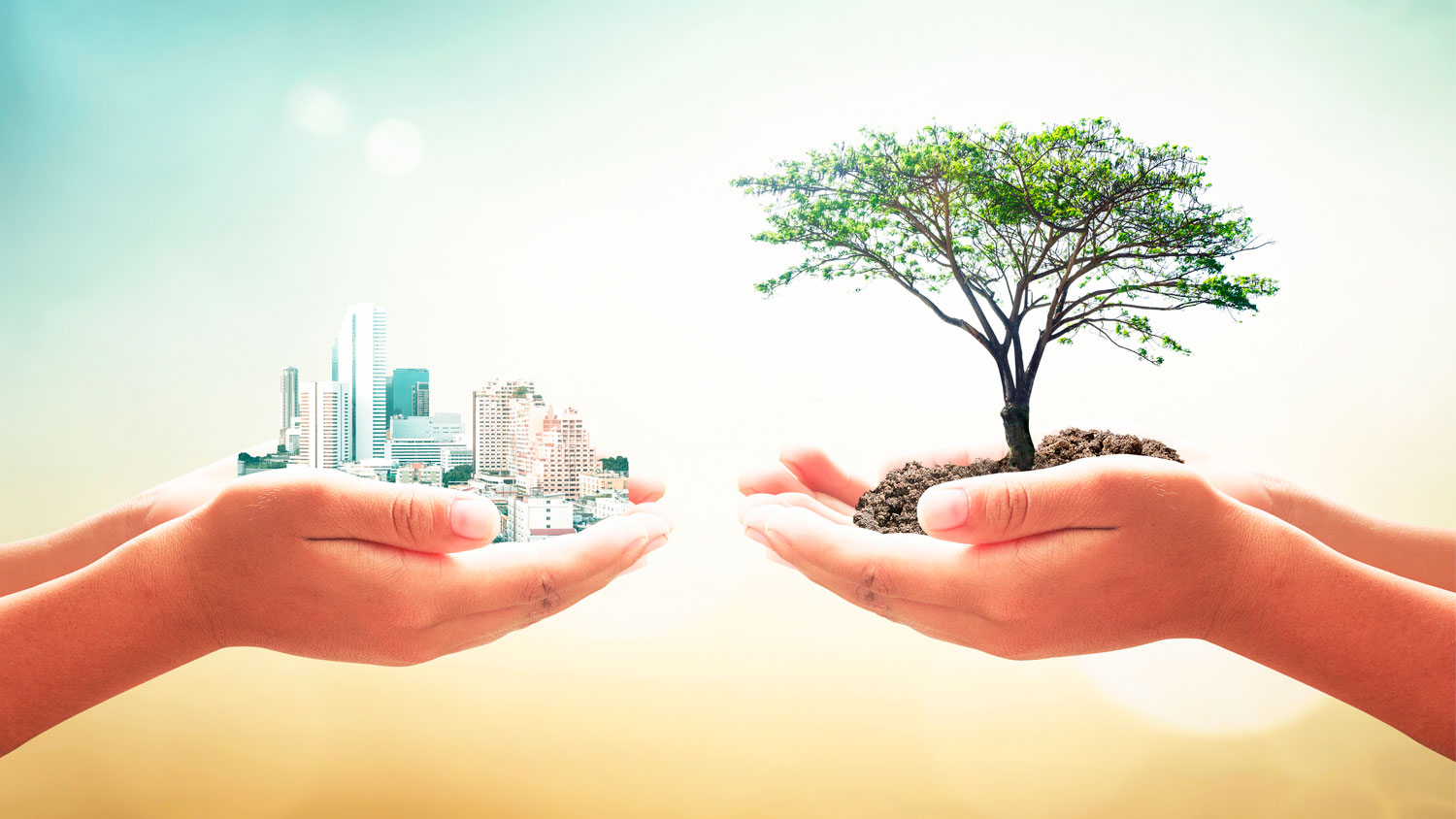 Sociología Mind Map