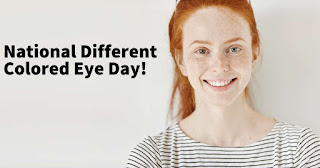 National Different Colored Eyes Day HD Pictures, Wallpapers