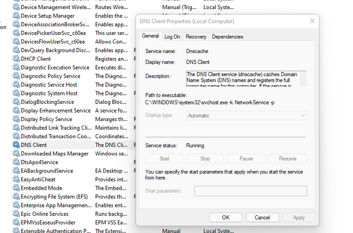Habilitar servicios DNS Windows