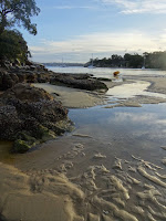 Collin's Beach (Spring Cove, Little Manly)