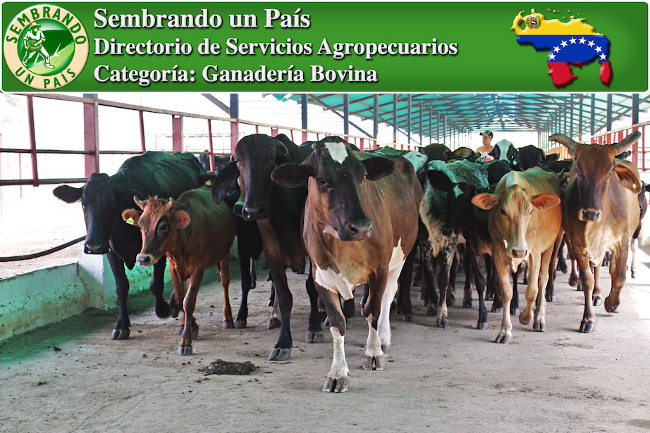 insumos para ganadería en venezuela