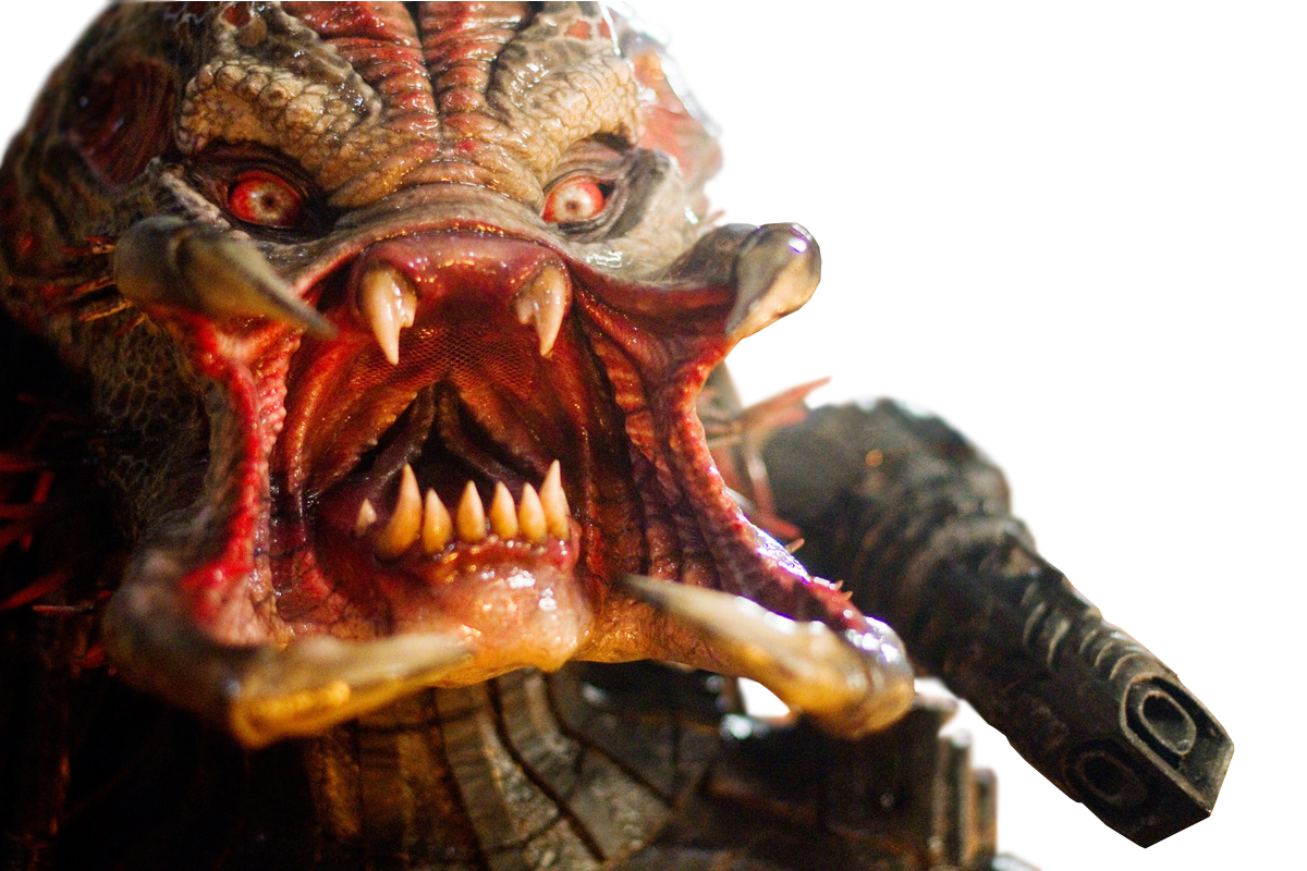 Rise Of The Predator Rise Of The Predator