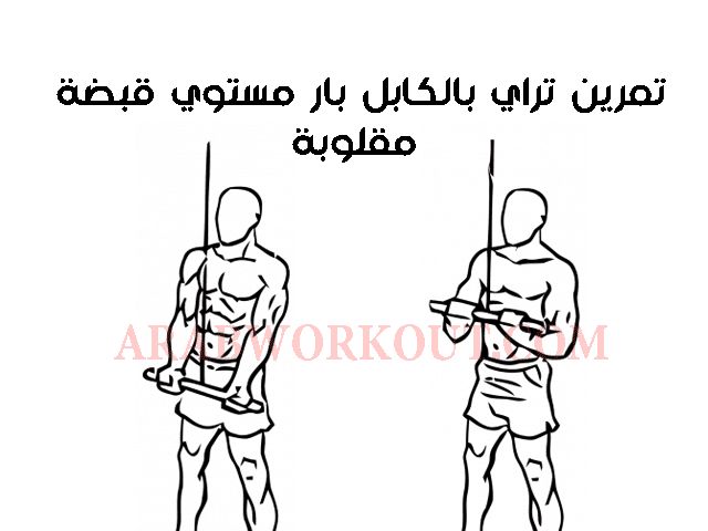 تمارين الترايسبس للمتقدمين تمارين الترايسبس للمتقدمين