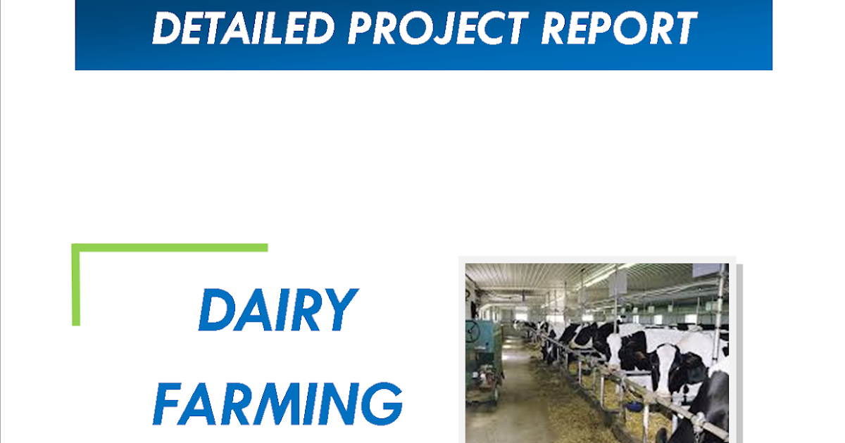 Dairy Farming Project Report Space Consultancy Services