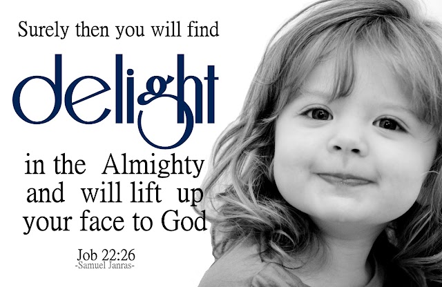 Delight in the Almighty Bible Verse and Bible Quotes