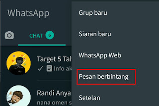 Menyimpan dan Melihat Pesan Penting di Menu Pesan Berbintang