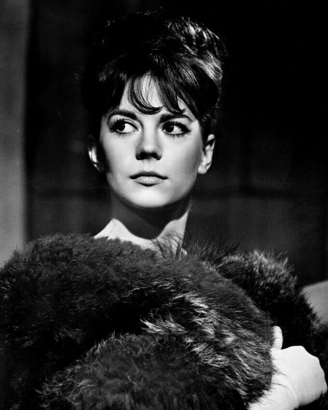 50 Gorgeous Photos of Natalie Wood While Filming “Gypsy” in 1962 ...