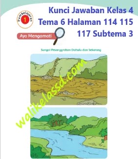 Kunci Jawaban Kelas 4 Tema 6 Halaman 114 115 117 118 Subtema 3 Pembelajaran 1 Giat Berusaha Meraih Cita Cita Wali Kelas Sd