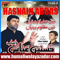 http://ishqehaider.blogspot.com/2013/11/hasnain-abbas-nohay-2014.html