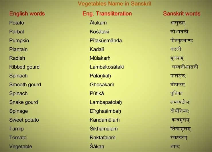 Vegetables Name In Sanskrit-3