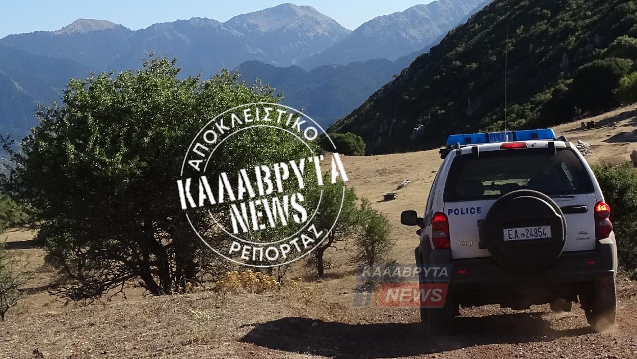710 δενδρύλλια κάνναβης κοντά στο Καρούσι Καλαβρύτων - Μεγάλη ...