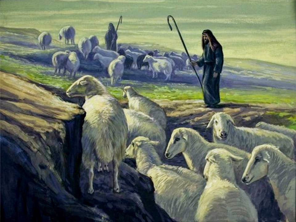 Он закричал пастухам чтобы они скорее гнали. Амореи пастухи. Пастух в поле. Пастух с овцами.