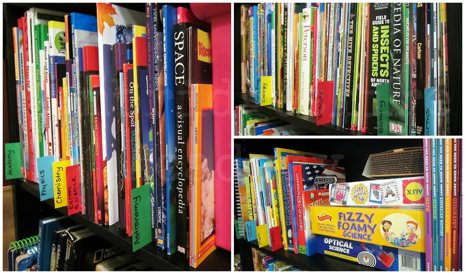 Cambridgeshire Academy™️ Organizing Homeschool Books by Subject or