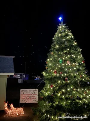 town Christmas tree in Cayucos, California