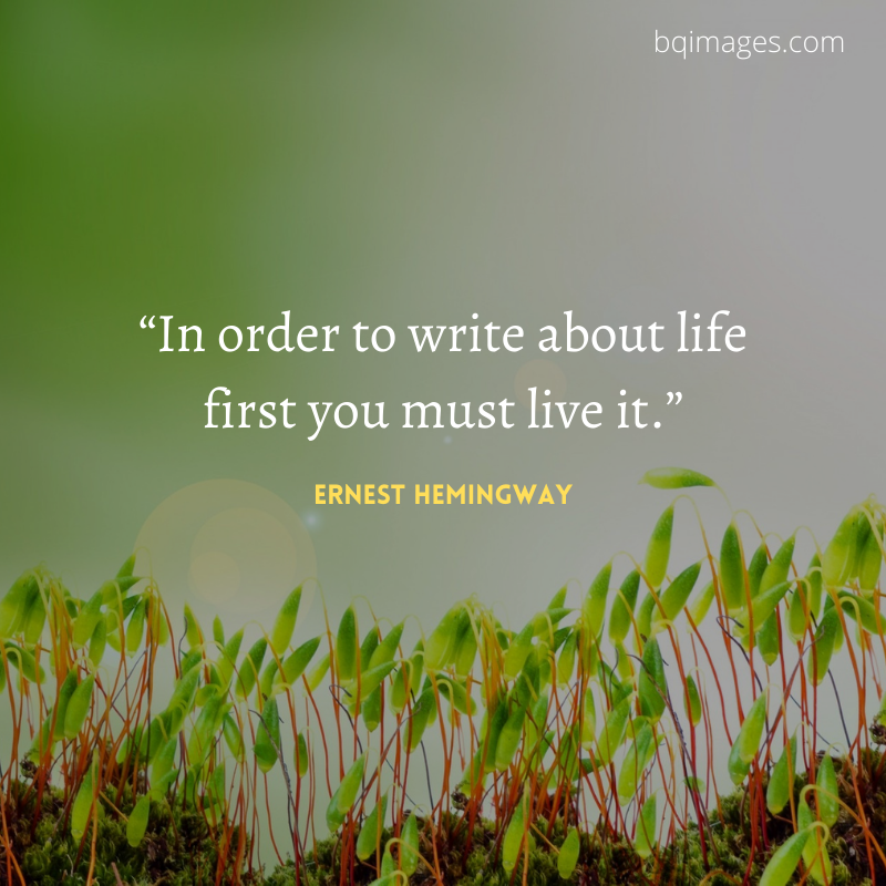 50+ Best Life Quotes In English for WhatsApp DP bqimages Beautiful